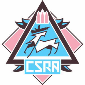 Trans Pride Stickers