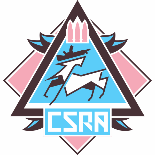 Trans Pride Stickers